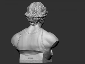 Larry Joe Bird 3D Print Model