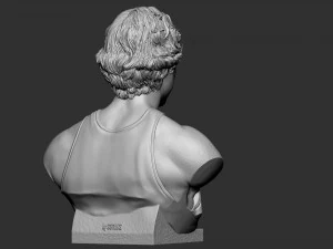 Larry Joe Bird 3D Print Model