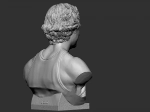 Larry Joe Bird 3D Print Model