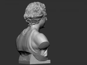 Larry Joe Bird 3D Print Model