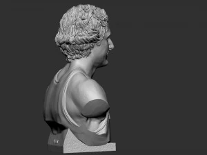 Larry Joe Bird 3D Print Model