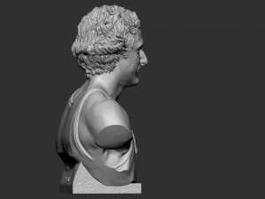 Larry Joe Bird 3D Print Model