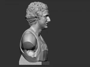 Larry Joe Bird 3D Print Model