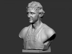 Larry Joe Bird 3D Print Model