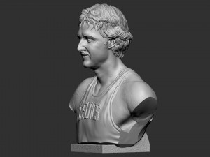 Larry Joe Bird 3Dプリントモデル