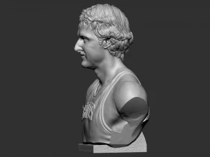 Larry Joe Bird 3D Print Model