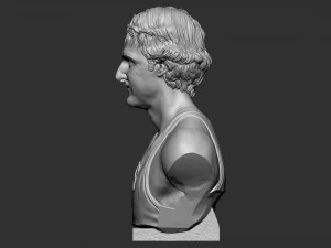 Larry Joe Bird 3D Print Model