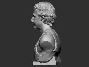 Larry Joe Bird 3D Print Model