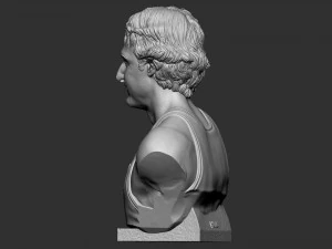 Larry Joe Bird 3D Print Model