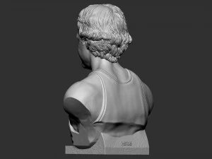 Larry Joe Bird 3D Print Model