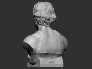 Larry Joe Bird 3D Print Model