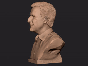 James Cameron 3D print model Model Cetak 3D