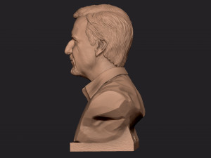 James Cameron 3D print model Model Cetak 3D