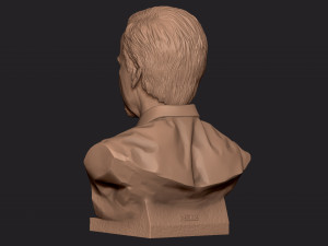 James Cameron 3D print model Model Cetak 3D