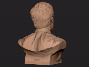 James Cameron 3D print model Model Cetak 3D