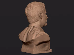 James Cameron 3D print model 3D Print Model