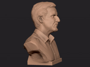 James Cameron 3D print model Model Cetak 3D