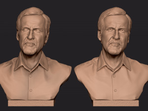 James Cameron 3D print model Model Cetak 3D