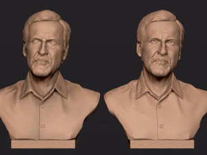 James Cameron 3D print model 3D Print Model