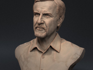 James Cameron 3D print model 3D Print Model