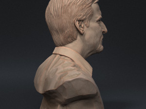 James Cameron 3D print model Model Cetak 3D