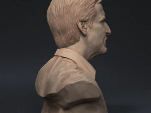 James Cameron 3D print model 3D Print Model