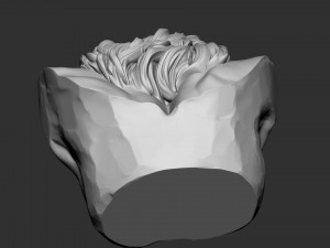 Jesus Bust 03 Model Cetak 3D