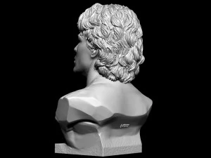 Diego Maradona 3D Print Model