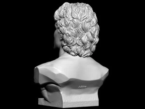 Diego Maradona 3D Print Model