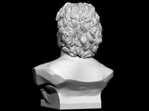 Diego Maradona 3D Print Model
