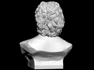 Diego Maradona 3D Print Model