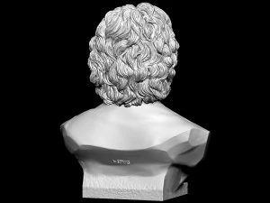 Diego Maradona 3D Print Model