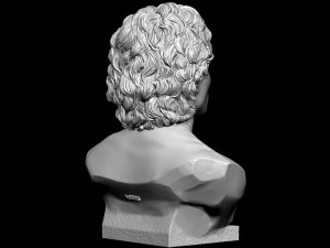 Diego Maradona 3D Print Model
