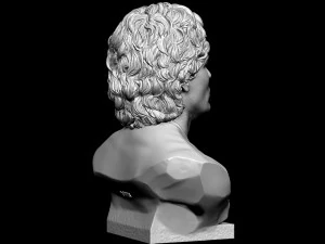 Diego Maradona 3D Print Model
