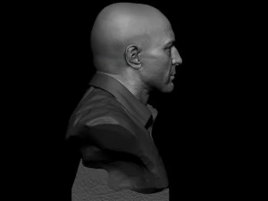 Joe Rogan 3D Print Model