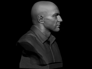 Joe Rogan 3D Print Model