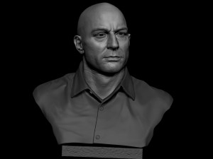 Joe Rogan 3D Принт Модель