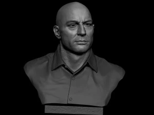 Joe Rogan 3D Print Model