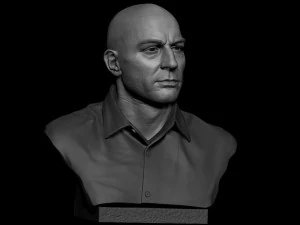 Joe Rogan 3D Print Model