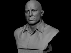 Joe Rogan 3D Print Model