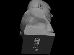Joe Rogan 3D Print Model