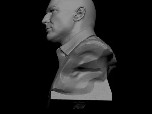 Joe Rogan 3D Print Model