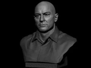 Joe Rogan 3D Print Model