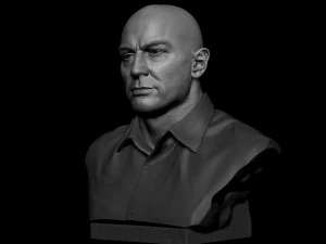 Joe Rogan 3D Print Model