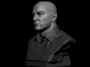 Joe Rogan 3D Print Model