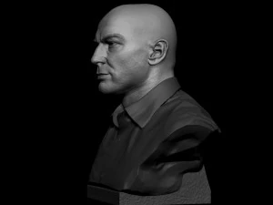 Joe Rogan 3D Print Model