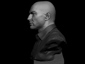 Joe Rogan 3D Print Model