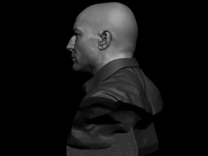 Joe Rogan 3D Print Model