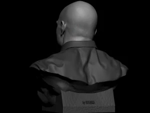 Joe Rogan 3D Print Model