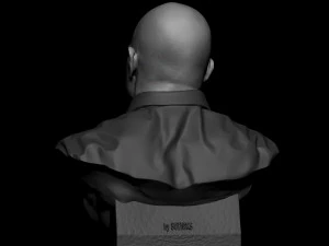 Joe Rogan 3D Print Model